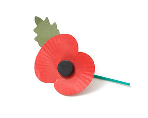 Image showing Poppy appeal