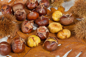 Image showing Chestnuts