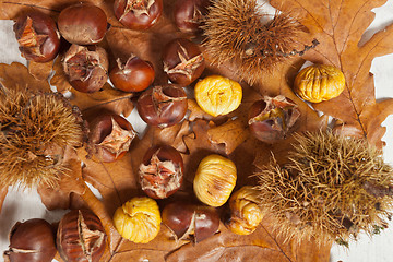 Image showing Chestnuts