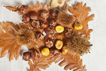 Image showing Chestnuts