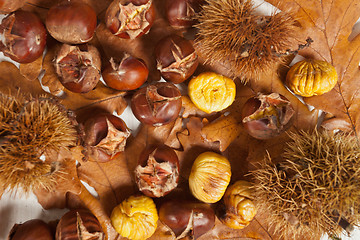 Image showing Chestnuts