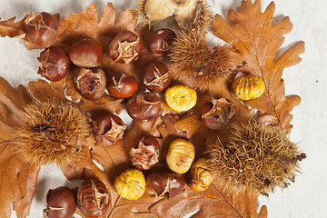 Image showing Chestnuts