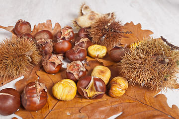 Image showing Chestnuts