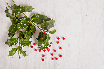 Image showing holly and red berries