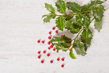 Image showing holly and red berries