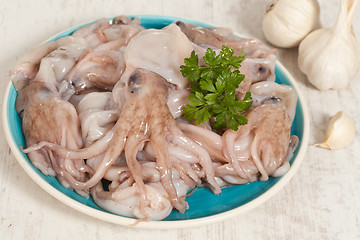 Image showing Octopus