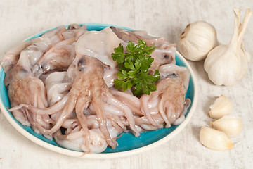 Image showing Octopus