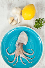 Image showing Octopus