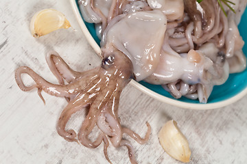 Image showing Octopus