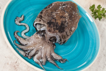 Image showing Raw Cuttlefish