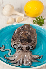 Image showing Raw Cuttlefish