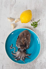 Image showing Raw Cuttlefish