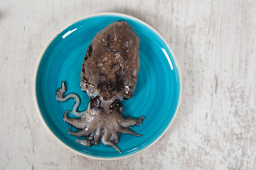 Image showing Raw Cuttlefish