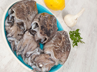 Image showing Raw Cuttlefish