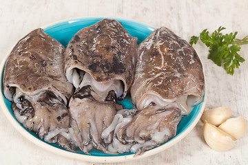 Image showing Raw Cuttlefish
