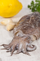 Image showing Raw Cuttlefish