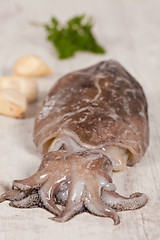 Image showing Raw Cuttlefish