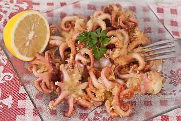 Image showing Fried Octopus