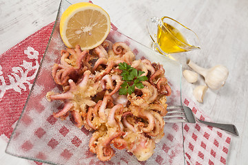 Image showing Fried Octopus