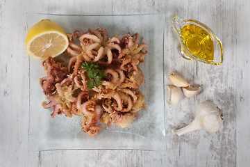 Image showing Fried Octopus