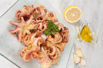 Image showing Fried Octopus