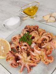 Image showing Fried Octopus
