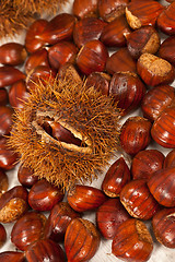 Image showing Chestnuts