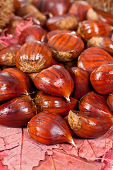 Image showing Chestnuts