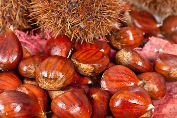 Image showing Chestnuts