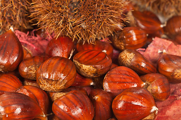 Image showing Chestnuts