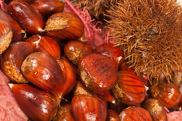 Image showing Chestnuts