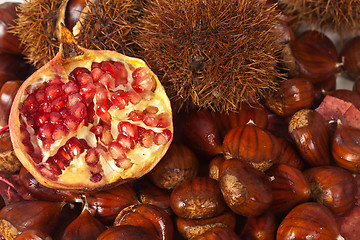 Image showing Chestnuts and pomegranate