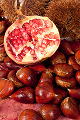 Image showing Chestnuts and pomegranate