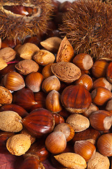 Image showing Nuts background