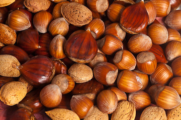 Image showing Nuts background