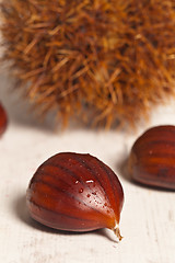 Image showing Chestnuts