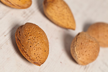 Image showing Almonds