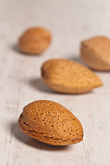 Image showing Almonds