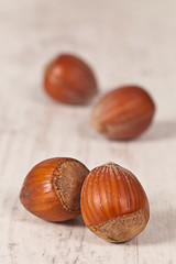 Image showing Hazelnuts