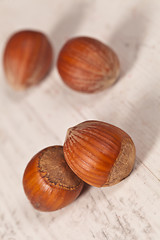 Image showing Hazelnuts