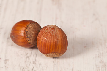 Image showing Hazelnuts