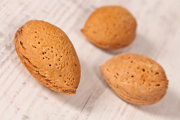 Image showing Almonds
