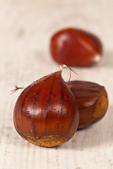 Image showing Chestnuts