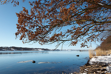 Image showing Winter in Kolding