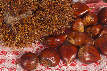 Image showing Chestnuts