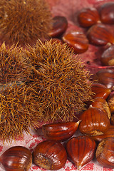 Image showing Chestnuts