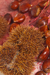 Image showing Chestnuts