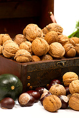 Image showing chest with walnuts and pumpkin