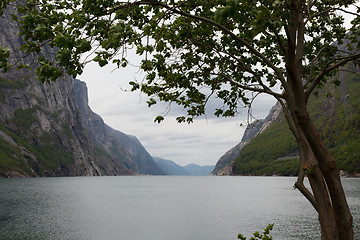 Image showing Lysefjorden