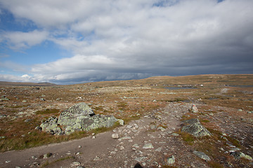 Image showing hardangervidda